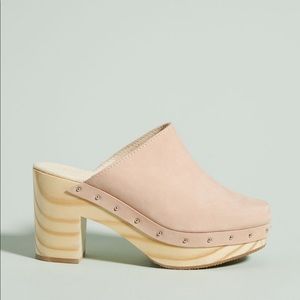 Cordani Milagro clog